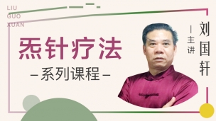 刘国轩--炁针疗法系列课程
