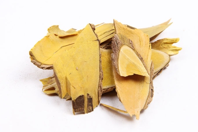 花之本草三颗针认识中药从花开始