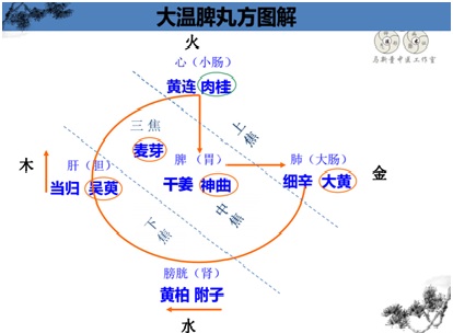 一个中医人的匠心马新童61大温脾丸