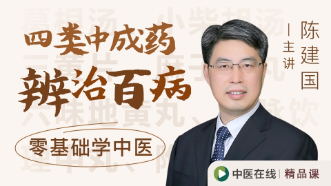 陈建国---四类中成药,辨治百病 - 中医在线