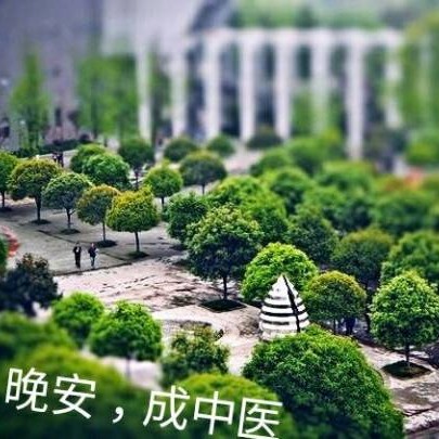 崔叶敏--沈氏女科舌诊在肿瘤诊治中的应用